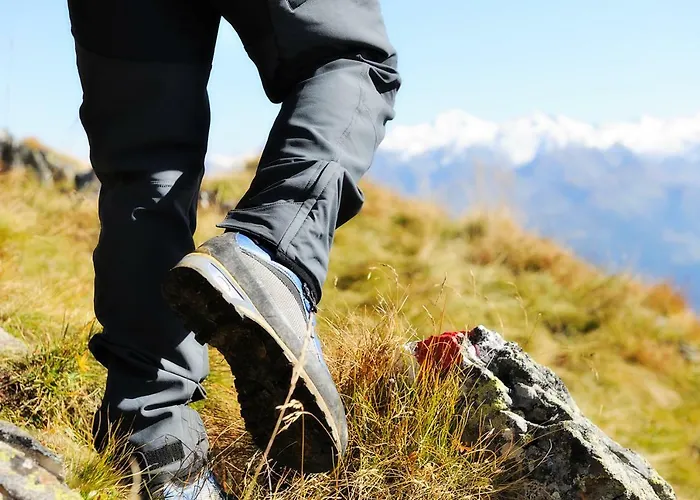 Lala Chalet&appartement *